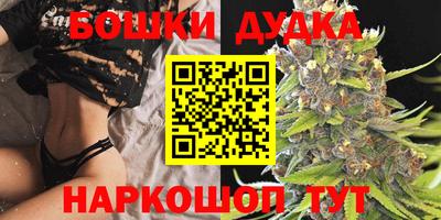 стафф Донской