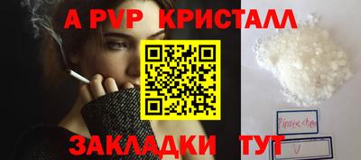 стафф Донской