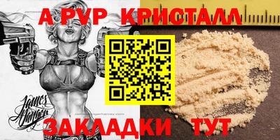 стафф Донской