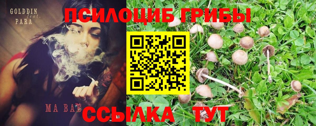Псилоцибиновые грибы мухоморы Мурманск