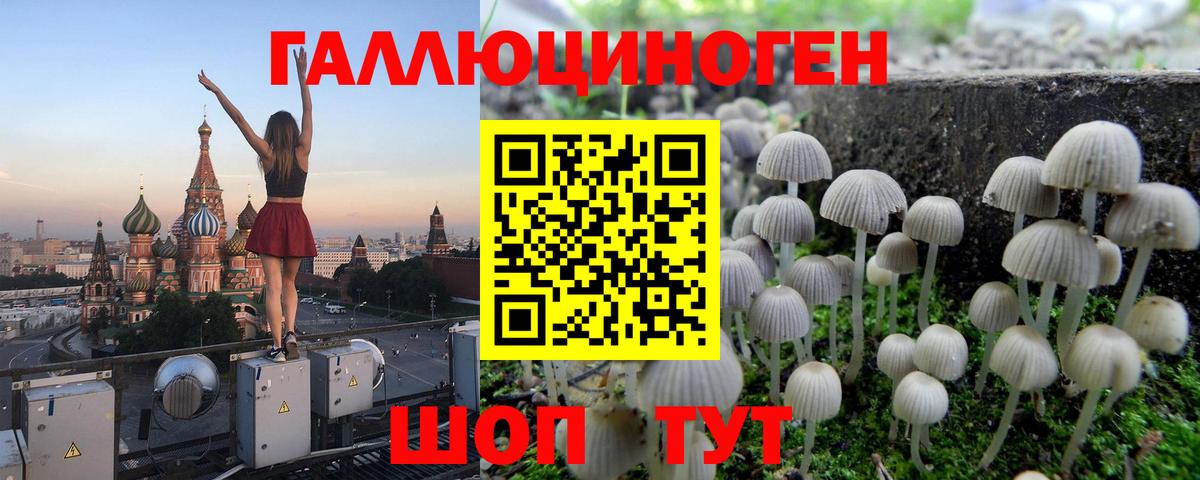 Галлюциногенные грибы Psilocybine cubensis  Вход с VPN  купить   Мурманск 
